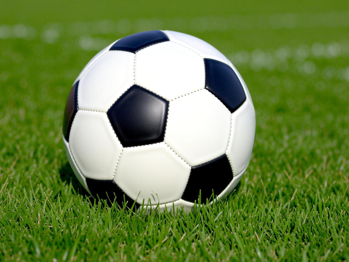 九游娱乐登录-2026年世界杯预选赛进展引发热议